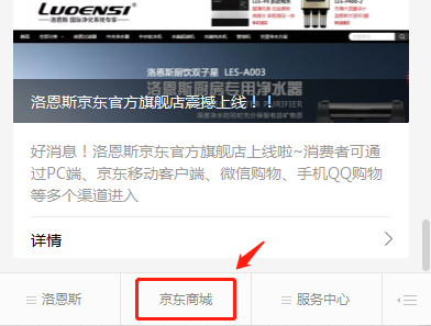 洛恩斯纯水机LES-P9