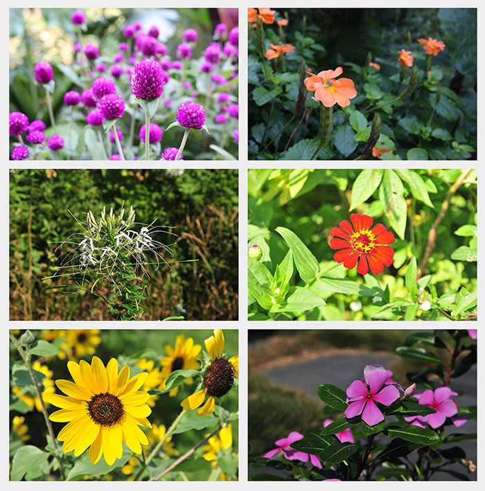 洛恩斯团队中秋国庆节后清远两日游