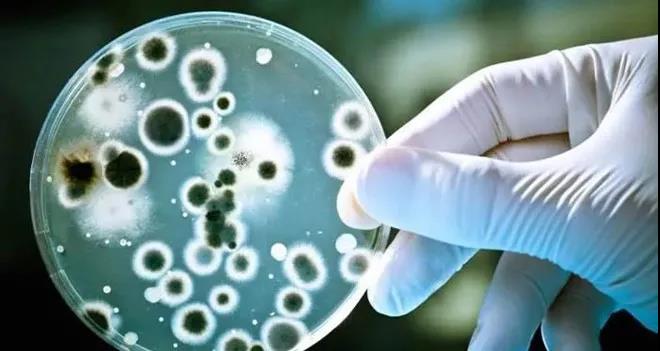 全球水污染现状